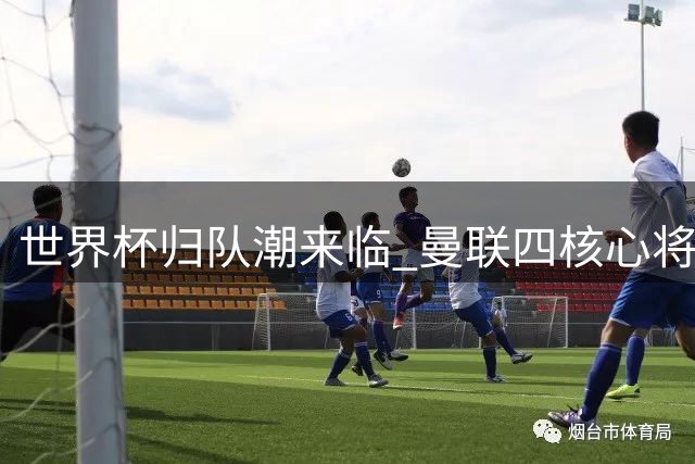 世界杯归队潮来临 曼联四核心将重返训练场